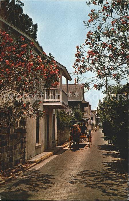 St Augustine Oldest City in USA Pferdewaagen