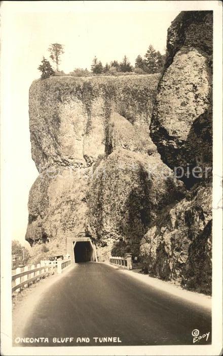 Oneonta New York Bluff and Tunnel