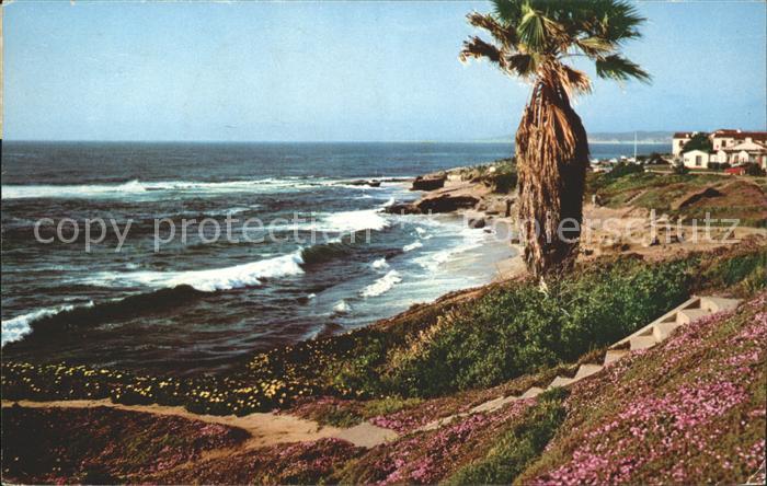 San Diego California California Shoreline Beach