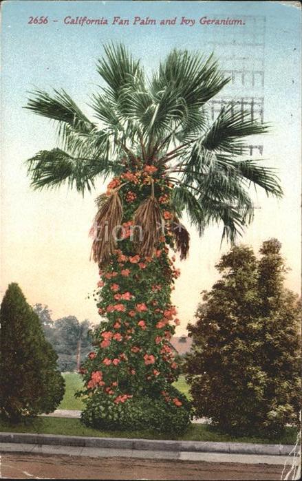 San Francisco California Park