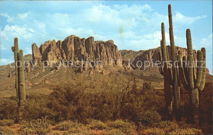 Kakteen Superstition Mountains