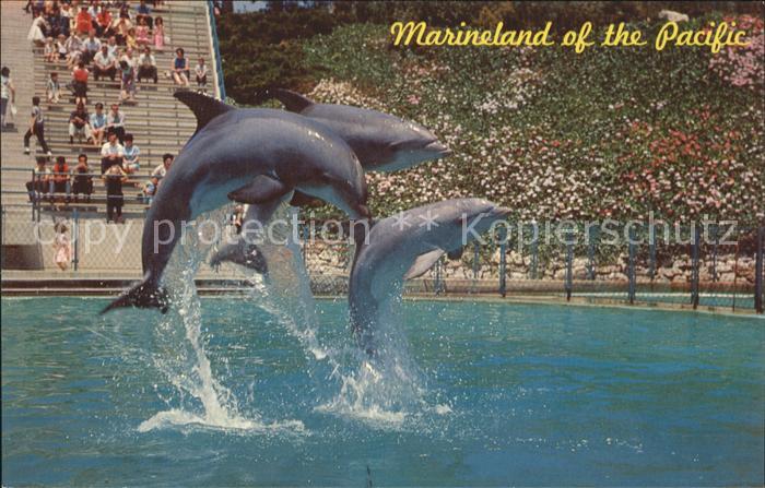 Delfine Delphine Dolphins Dauphins Delfines Marineland of the Pacific Leaping Do