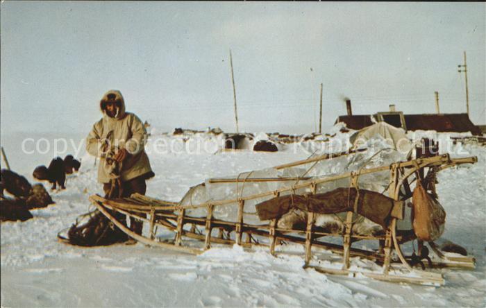 Schlitten Schnee Eskimo Sled Alaska