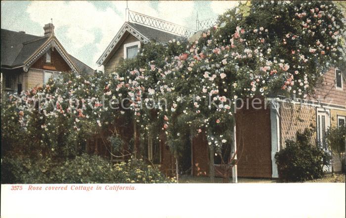 Rosen Rose covered Cottage California