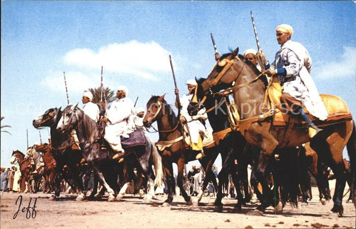 Pferde Typen Fantasia Marokko