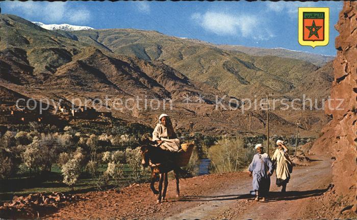 Esel Tiere Typen Marrakech Tal Atlasgebirge