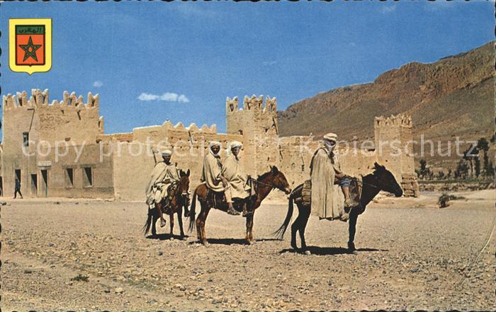 Esel Tiere Typen Berberisches Dorf Marokko