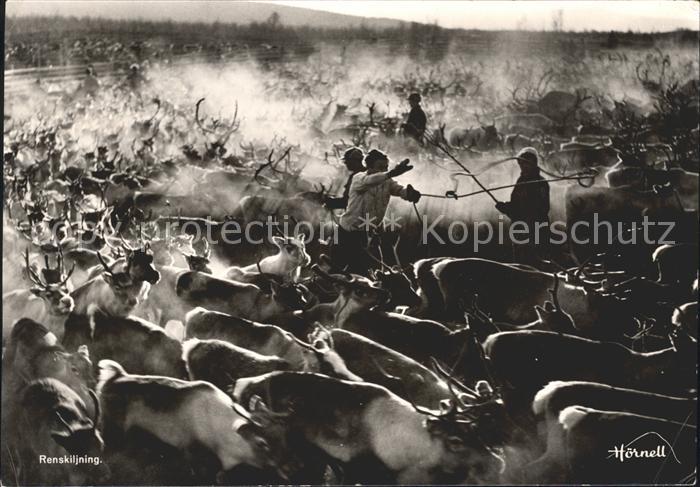 Rentier Renskiljning Rentierscheidung