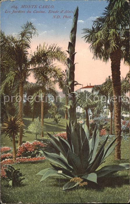 Monte-Carlo Jardins du Casino