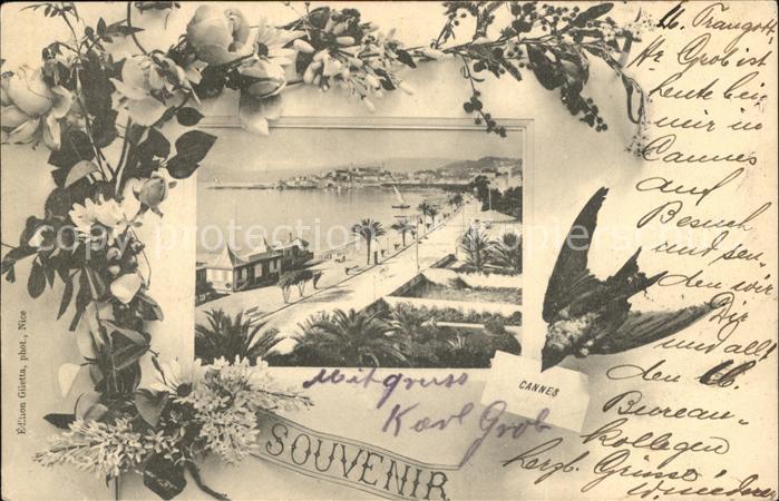 Cannes Alpes-Maritimes Promenade Plage Briefschwalbe Blumen
