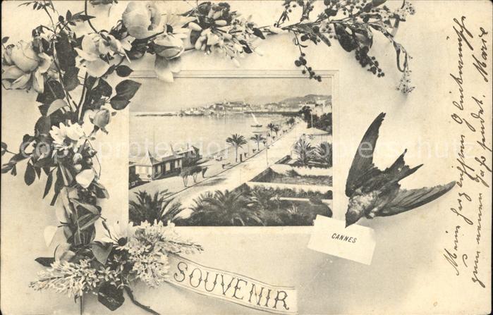 Cannes Alpes-Maritimes Promenade Plage Briefschwalbe Blumen