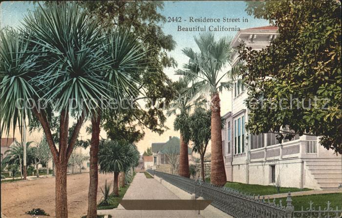 San Francisco California Residence Street Palm Trees