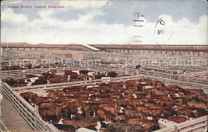 Chicago Illinois Union Stock Yards
