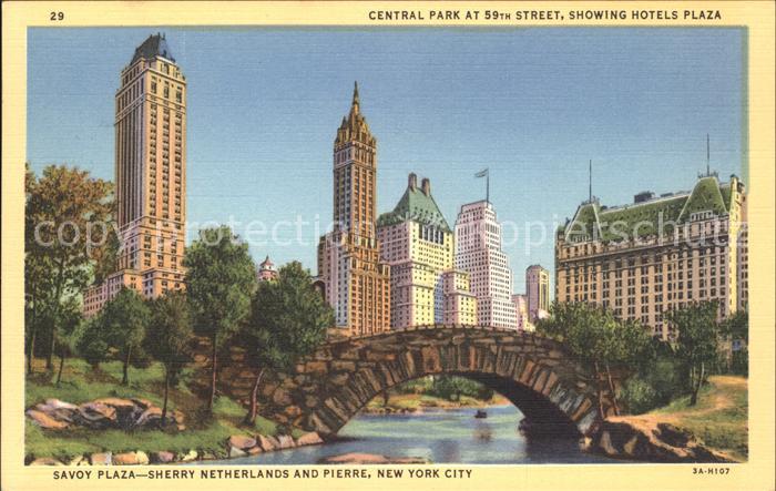 New York City Central Park at 59th Street Bridge Plaza Hotels Skyscraper