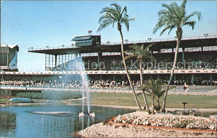 Saint Petersburg Florida Derby Lane Home of World Champion Greyhounds