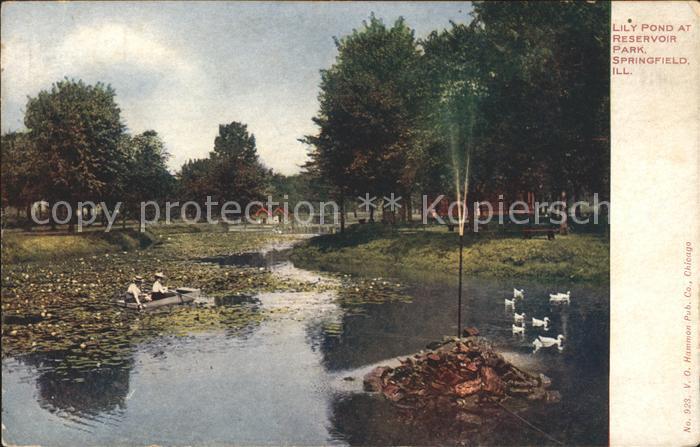 Springfield Illinois Lily Pond at Reservoir park