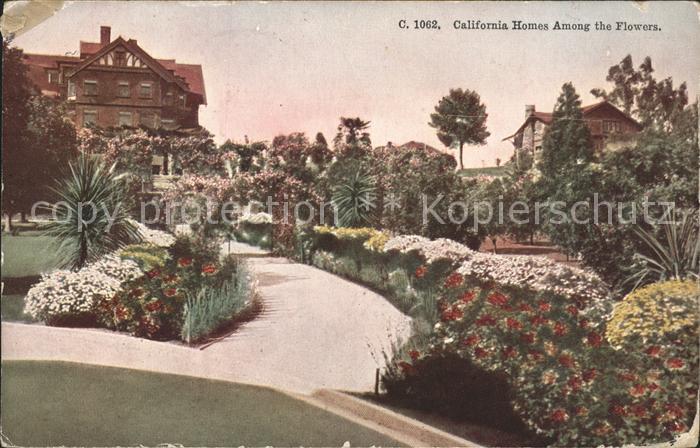 San Francisco California Homes Among the Flowers