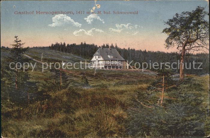 Herzogenhorn Gasthof