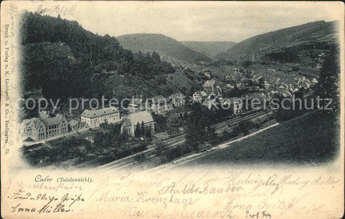 Calw Totalansicht