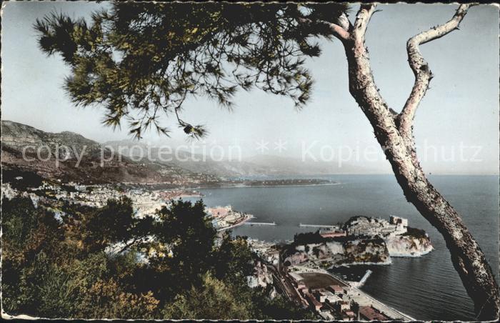Monaco Vue generale de la Principaute Le Rocher