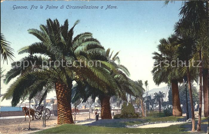 Genova Genua Liguria Palme di Circonvallazione a Mare