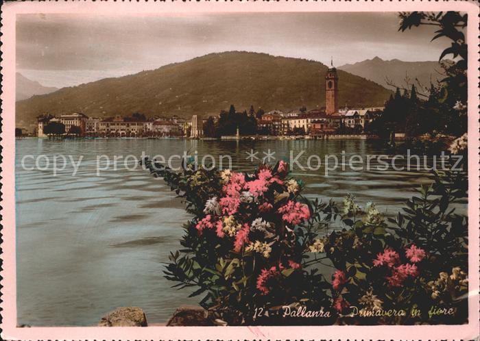 Pallanza Primavera in fiore
