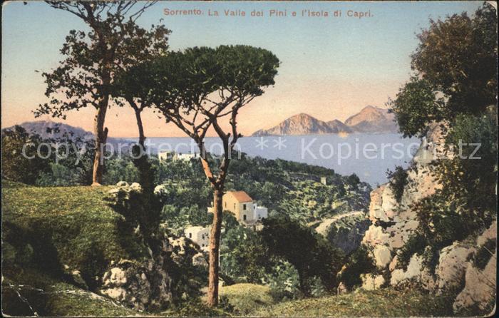 Sorrento Campania Valle dei Pini Isola di Capri