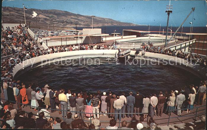 Palos Verdes Peninsula Oceanarium Marineland of the Pacific