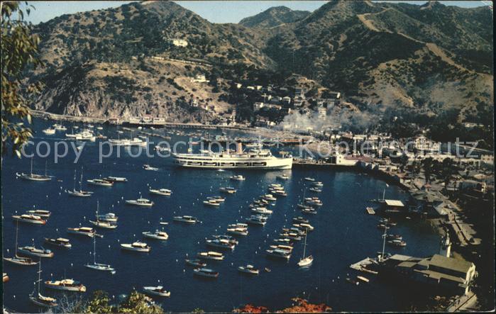 Catalina Island Avalon Bay Harbor Steamer