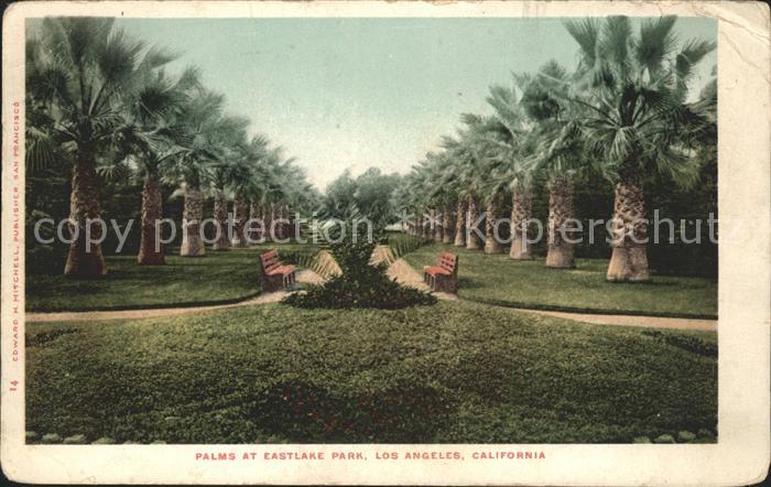 Los Angeles California Palms at Eastlake Park