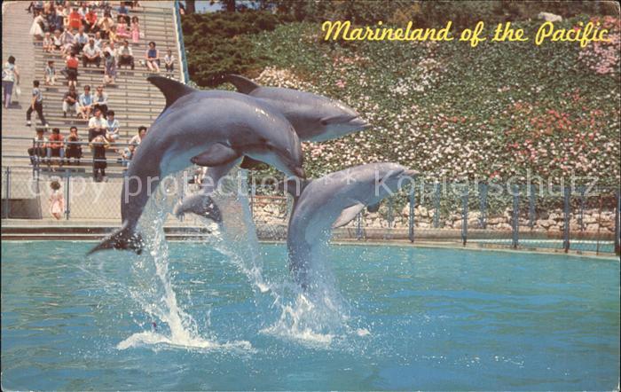 Delfine Delphine Dolphins Dauphins Delfines Marineland of the Pacific