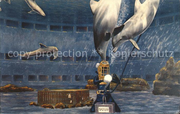 Delfine Delphine Dolphins Dauphins Delfines Marineland of the Pacific Palos Verd