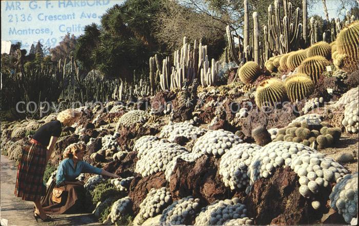 Kakteen Cactus and Desert Plant Gardens San Mar