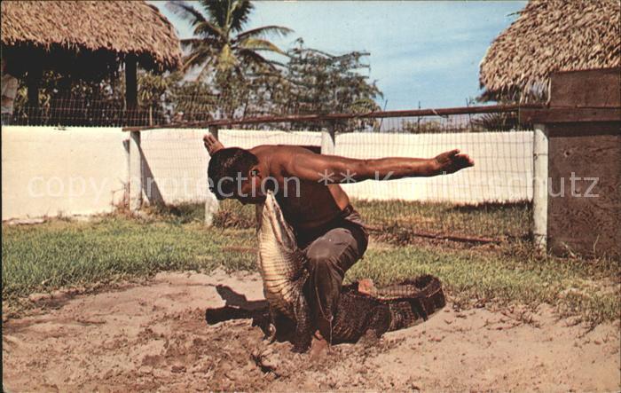 Krokodile Alligator Seminole Okalee Indian Villag