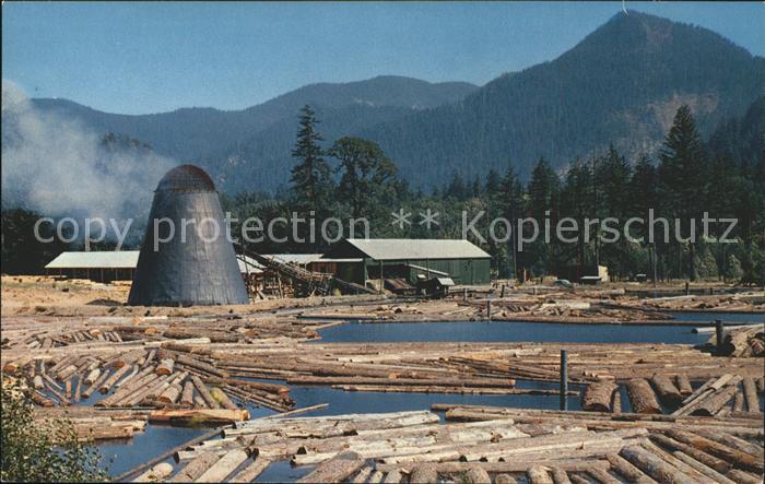 Saegemuehle Sawmill Log Pond