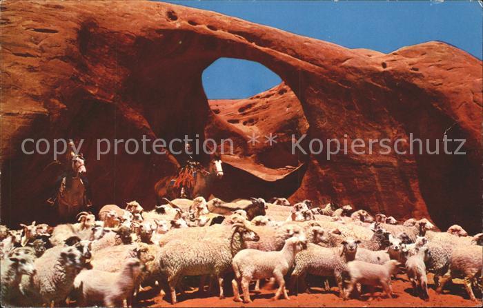 Schafe Herde Navajo Sheepherders Indian Reservation Arizona