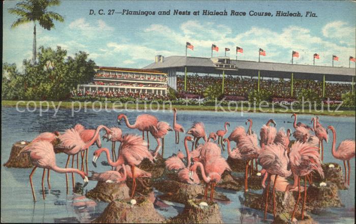 Flamingo Nest Hialeah Race Course