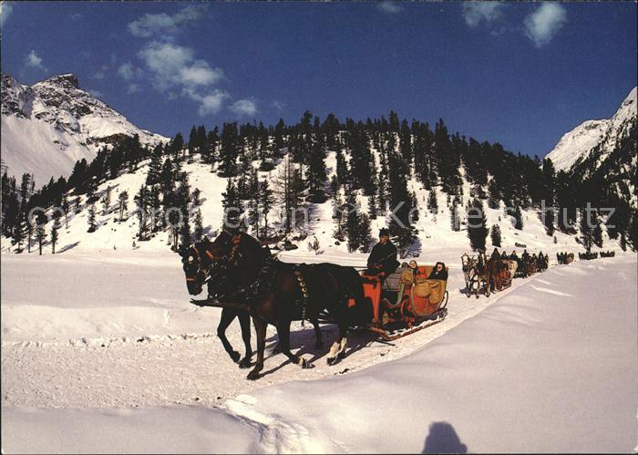 Pferde Pferdeschlitten Val Roseg