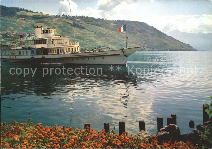 Dampfer Binnenschifffahrt Italie Lac Leman Genfersee
