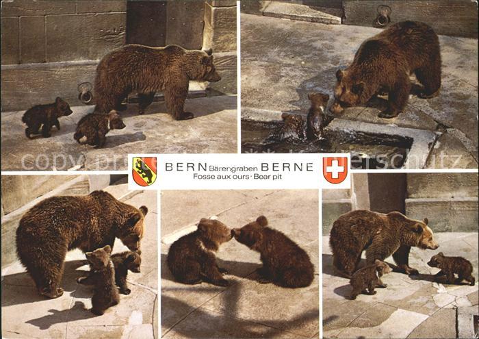 Baeren Bärengraben Bern
