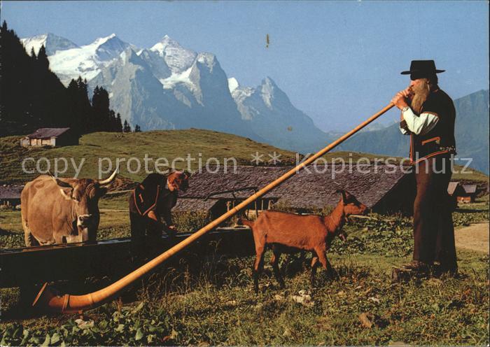 Alphorn Alphornbläser Kuh Ziege Wetterhörner Ei
