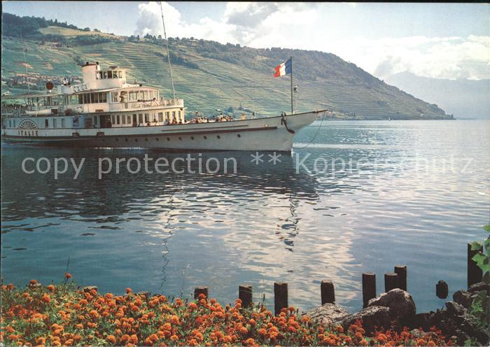 Dampfer Binnenschifffahrt Italie Lac Leman Genfersee