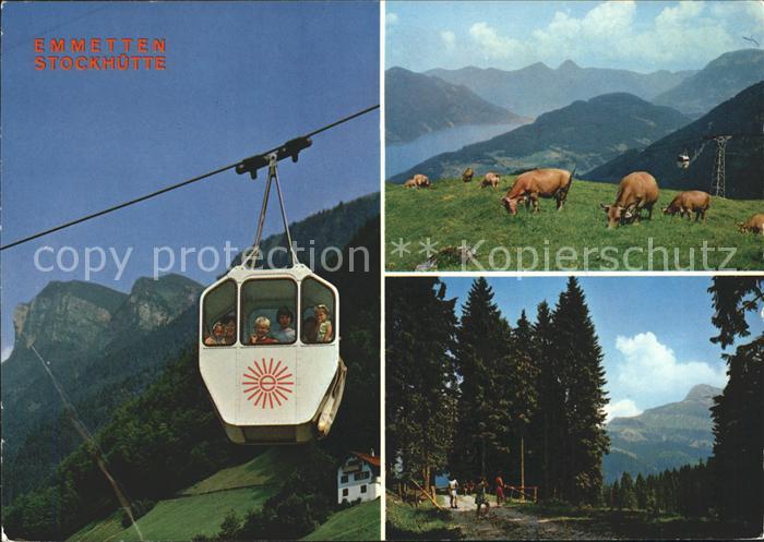 Seilbahn Emmetten-Stöckhütte Kühe