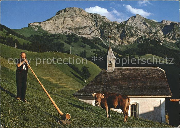 Alphorn Alphornbläser Obwalden Kuh Widderfeld N