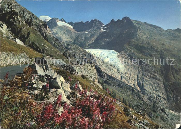 Gletscher Rhonegletscher Galenstock Grimselstrass
