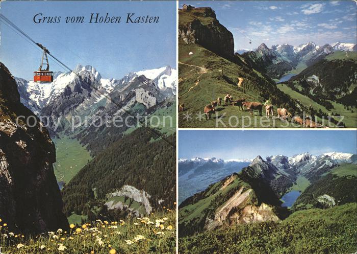 Seilbahn Brülisau Hoher Kasten Kühe