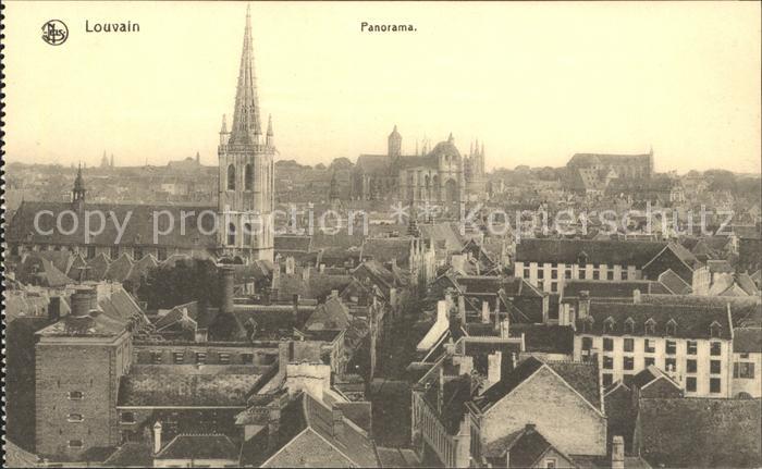 Louvain Flandre Panorama Eglise