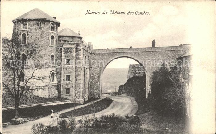 Namur Wallonie Chateau des Comtes