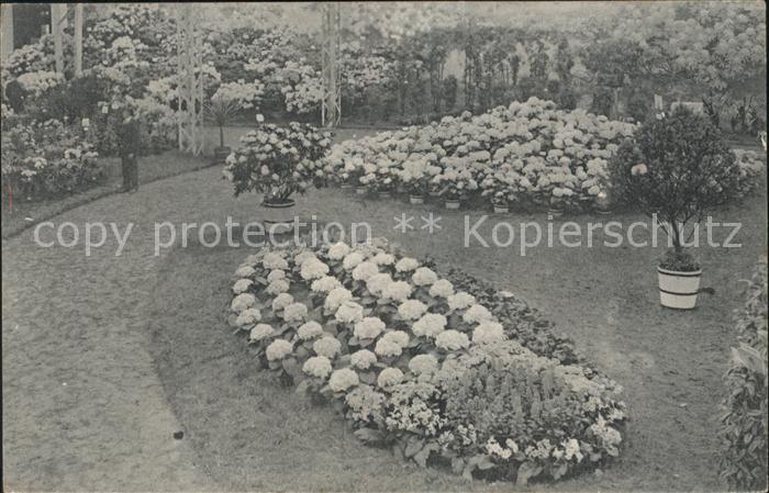 Gand Belgien Exposition de 1913 Floralies Gantoises