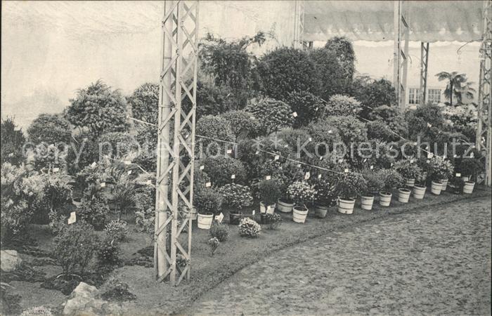 Gand Belgien Exposition de 1913 Floralies Gantoises